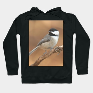 Carolina Chickadee Hoodie